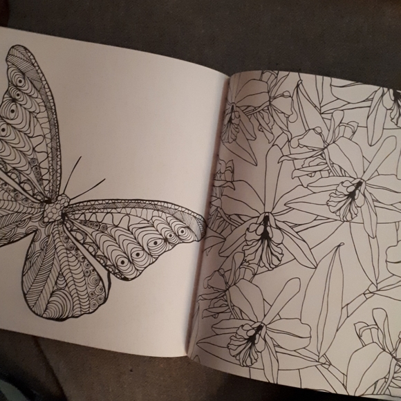 NWT - Garden Colouring Book - Picture 3 of 8